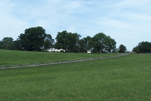 A view of the driveway and house which has great views of the farm. 