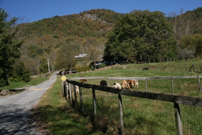 JEWEL IN THE SKYE - Union Cross Between the Blue Ridge and Appalachian Lifestyle