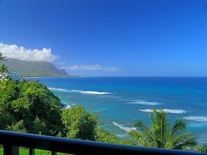 Breathtaking Ocean and mountain views from the lanai