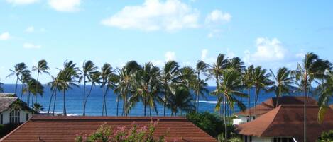 The view of the ocean from the lanai