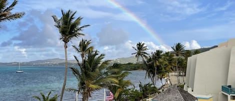 What a great view!  Ocean, pool, and Christiansted!