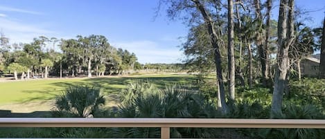 Vista Verde - Golf View Condo in Hilton Head