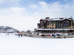 Sne- og skisport