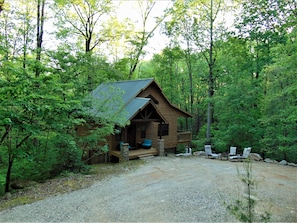 Living in the Trees with Multiple Deck Views
