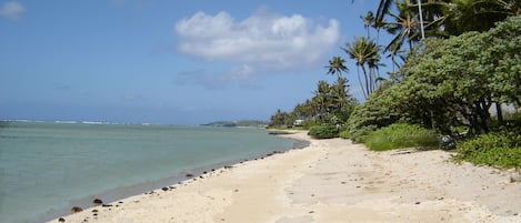 Our private beach front setting.