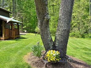 Enjoy the green grassy area at the Homestead!