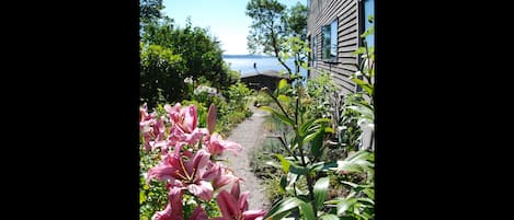 Ulkoalueet