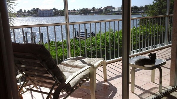 Relax and the screened lanai watching dolphin in the bay waters.