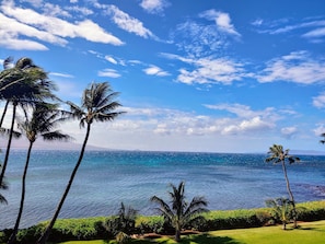 view from the lanai