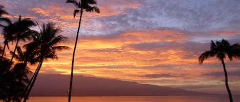 Ma'alaea Banyans view of a sunrise over Haleakala