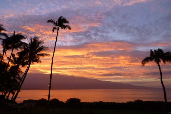 Ma'alaea Banyans view of a sunrise over Haleakala