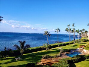 backyard; pool, jacuzzi and beach access view from the lanai