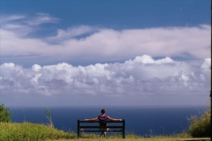 Watch whales and dolphins from your private bench overlooking Pacific Ocean