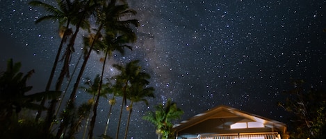 Starry, starry night over the View House