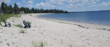 Welcome to Sandy River Beach! 
You could be sitting in those chairs!