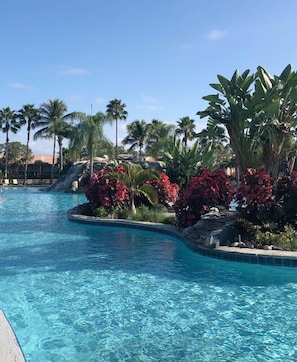 Well-manicured landscaping at tropical 300 ft saltwater pool.