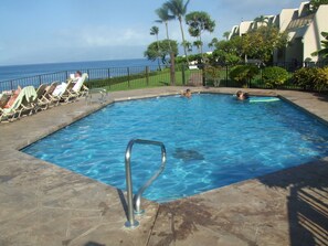 This is our pool, see the turtle at the bottom of the pool?