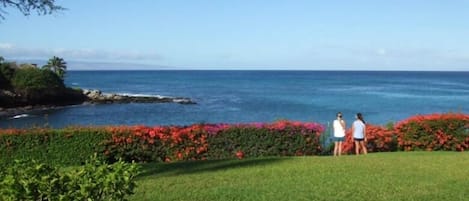 Stand at the ocean's edge and enjoy the spectacular view!!  My daughters.