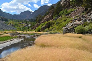 Nearby hiking