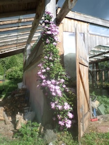 Stump House at SunRay Shire