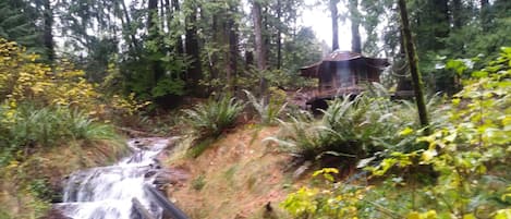 Stump House Waterfall