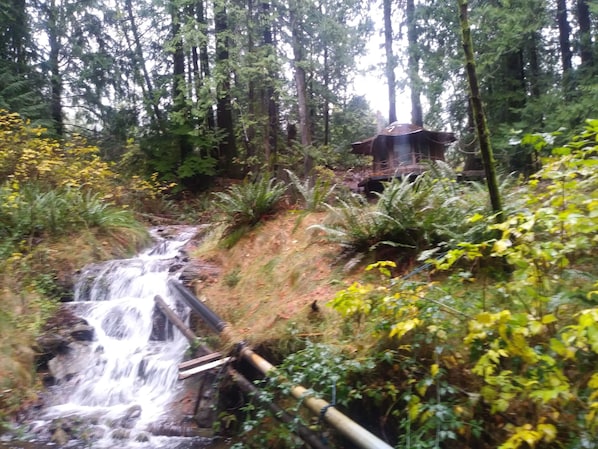 Stump House Waterfall