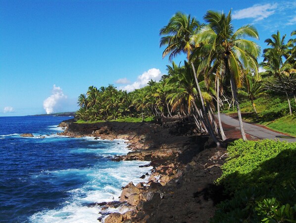 The coastline in front of our property 