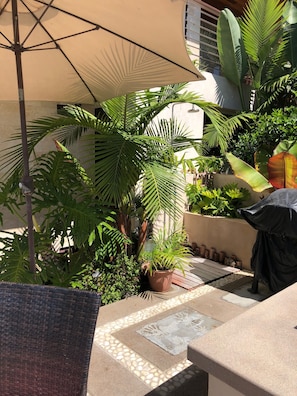 Tropical landscaping and an outdoor grill.