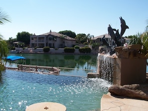 Backyard Oasis