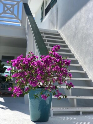 Staircase up to 2nd floor apartment