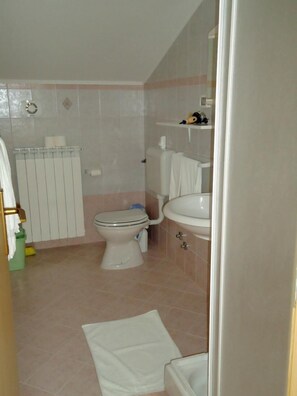 The bathroom with shower, amenities, sink, mirror, towels and hairdryer