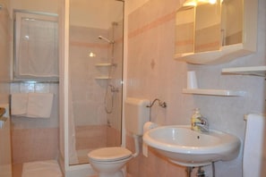 The bathroom with shower, toilet, sink and mirror