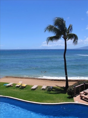 Straight out from the lanai is the pool, the lawn for suntanning and the ocean.