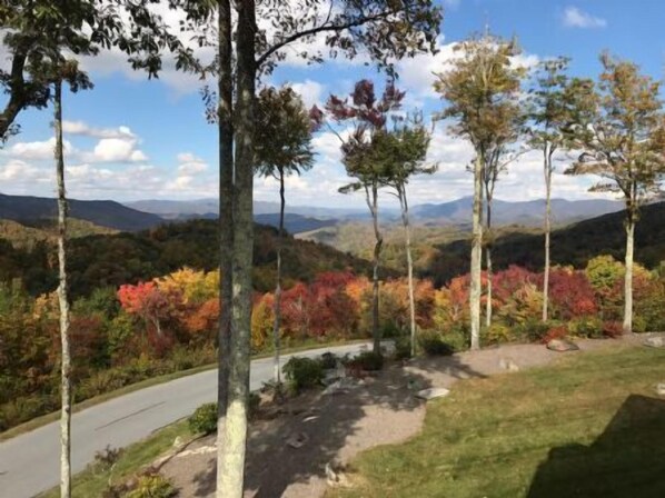 Fall Foliage View