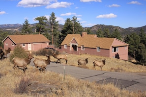 Welcome to the Amblin' Deer Cabin in Estes Park, CO and the Rocky Mountains!