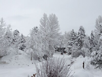 2BR+loft,2BA Jackson Hole condo, 5 miles from Grand Teton, 4 miles to ski resort