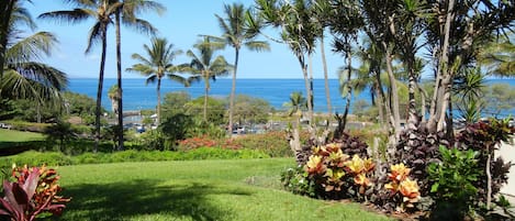 Our great view from the lanai