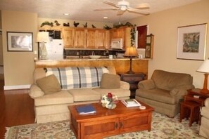 Open Living Room/Kitchen