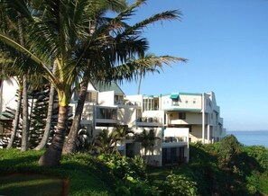 Contemporary Architecture