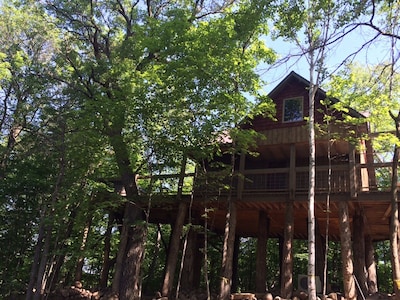 A Four Seasons Tree House With All Amenities Of A Home