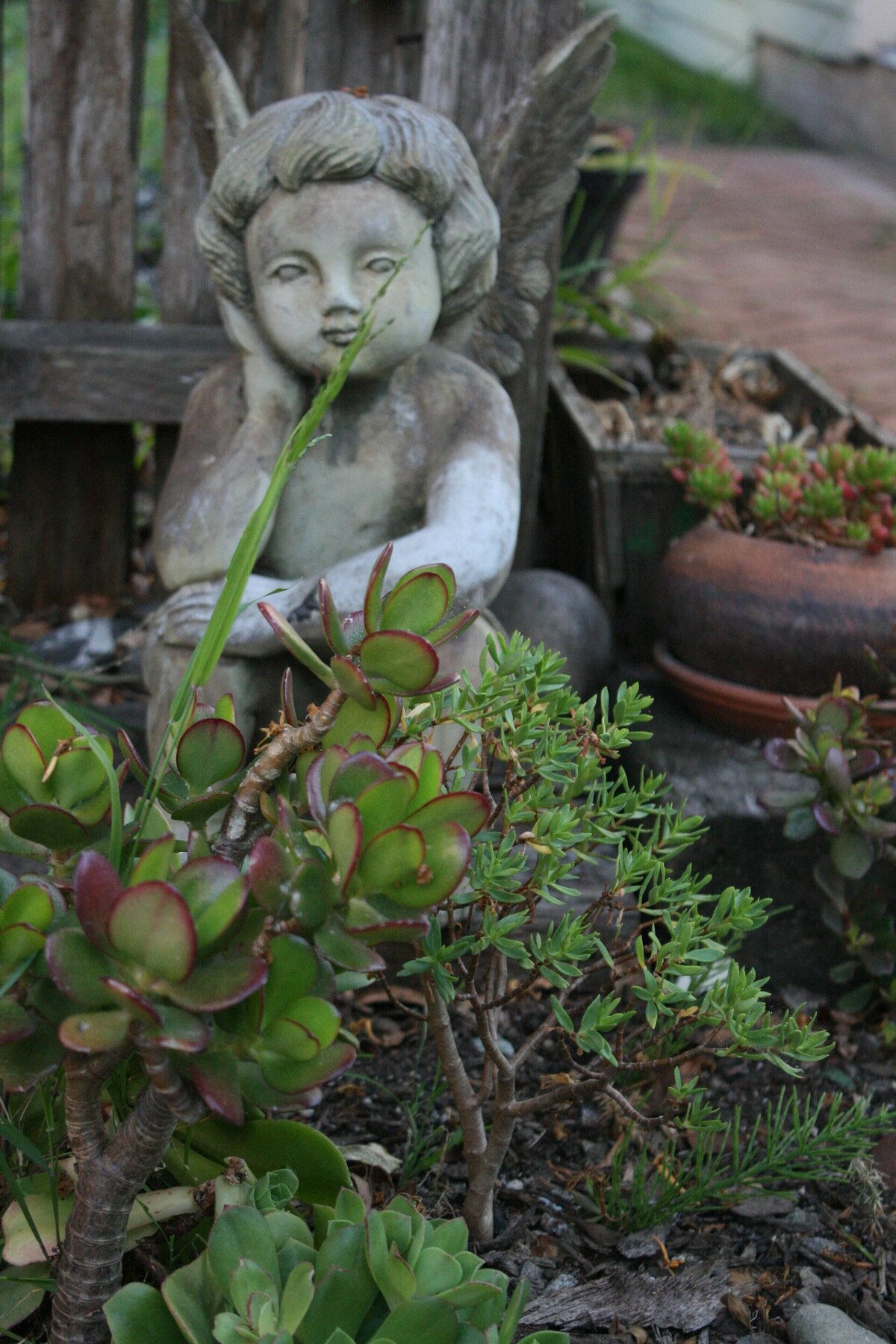 Capitola Nook Along The Creek.
