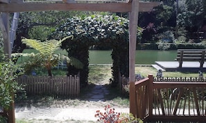 Front porch view. Infamous ivy trellis.