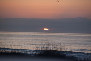 The sun rises in the east as viewed from the Windjammer as a gull soars above.