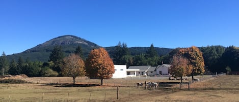 Old photo of school in fall