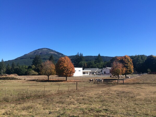 Old photo of school in fall