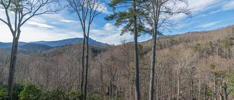 Grandfather Mountain View