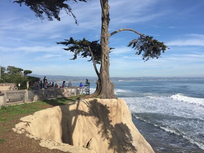 One of two oceanfront units right on the beach near Pleasure Point in Santa Cruz