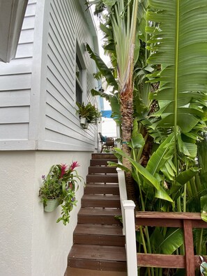 Detalle exterior