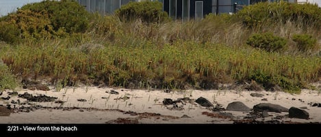 Looking towards Portside from the beach.