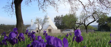 Parco della struttura